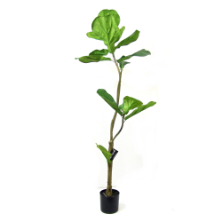Drzewko dekoracyjne Figowiec 120cm